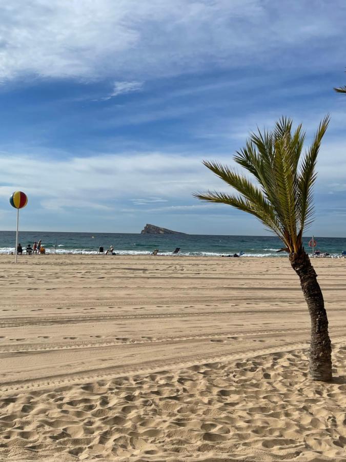 Marinapartsol 6C Leilighet Benidorm Eksteriør bilde